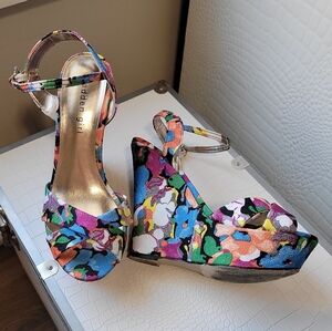 Colorful Wedges